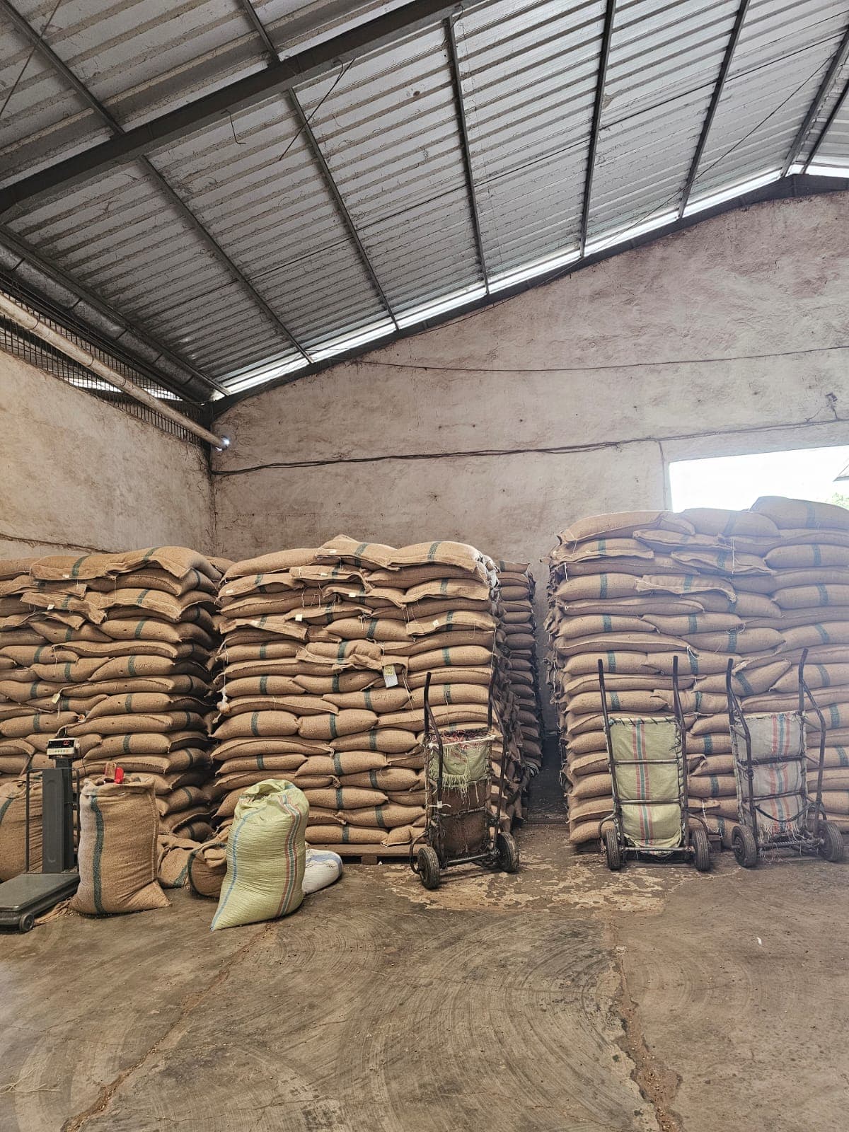 Stacked Coffee Bags