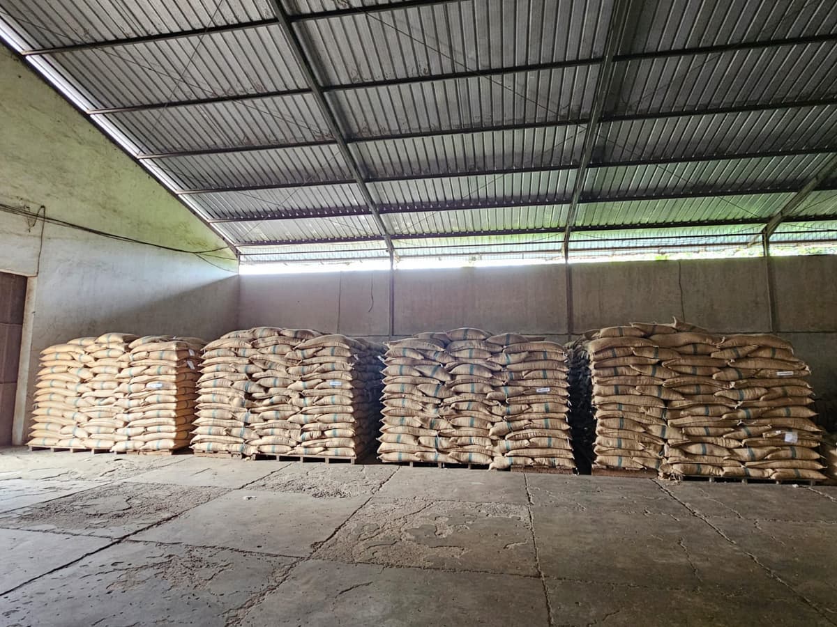 Warehouse Management