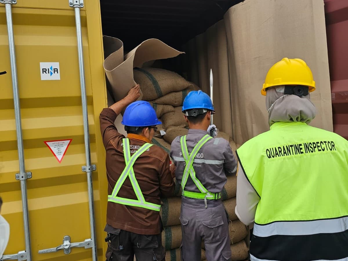 Packaging & Storage