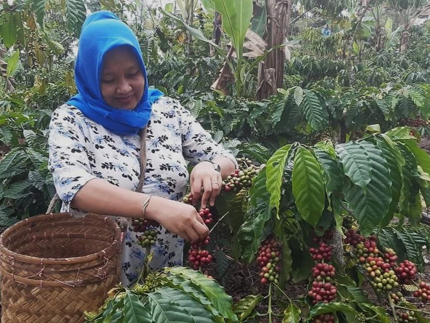 Farmer at Coffee Plantation