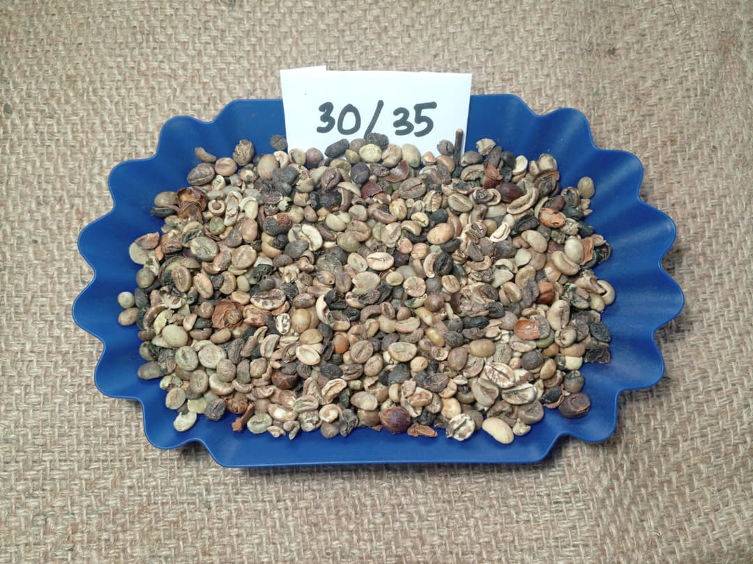 Indonesian Robusta Triage 30/35